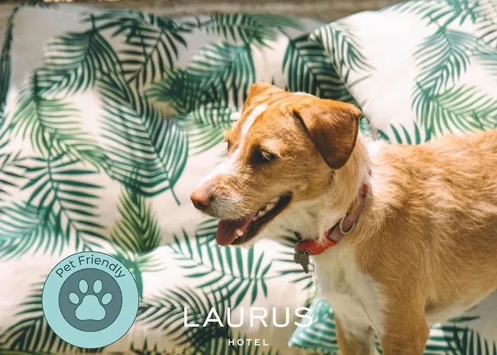 Laurus Отель