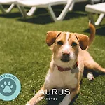 Laurus 2* Lourinha (Lisbon)