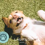 Laurus Ξενοδοχείο
