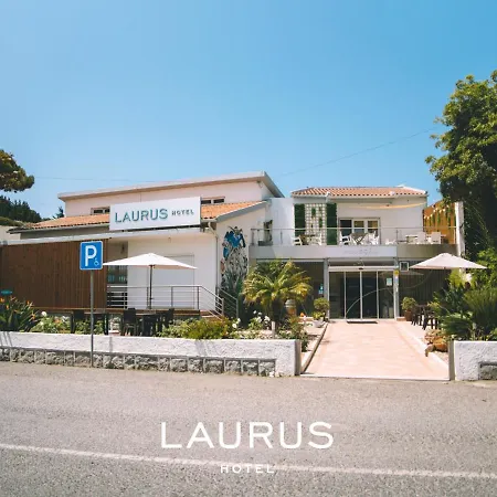 Laurus