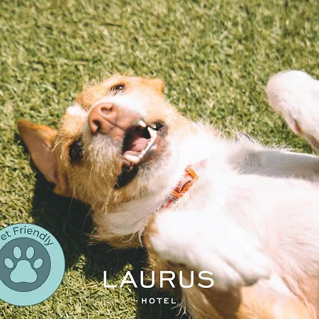 Laurus Szálloda