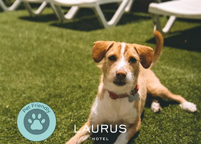 Laurus 2* Lourinhã