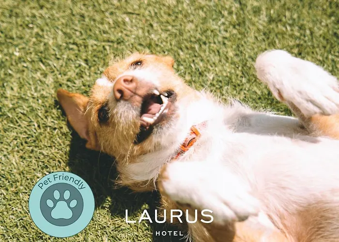 Laurus Hotel